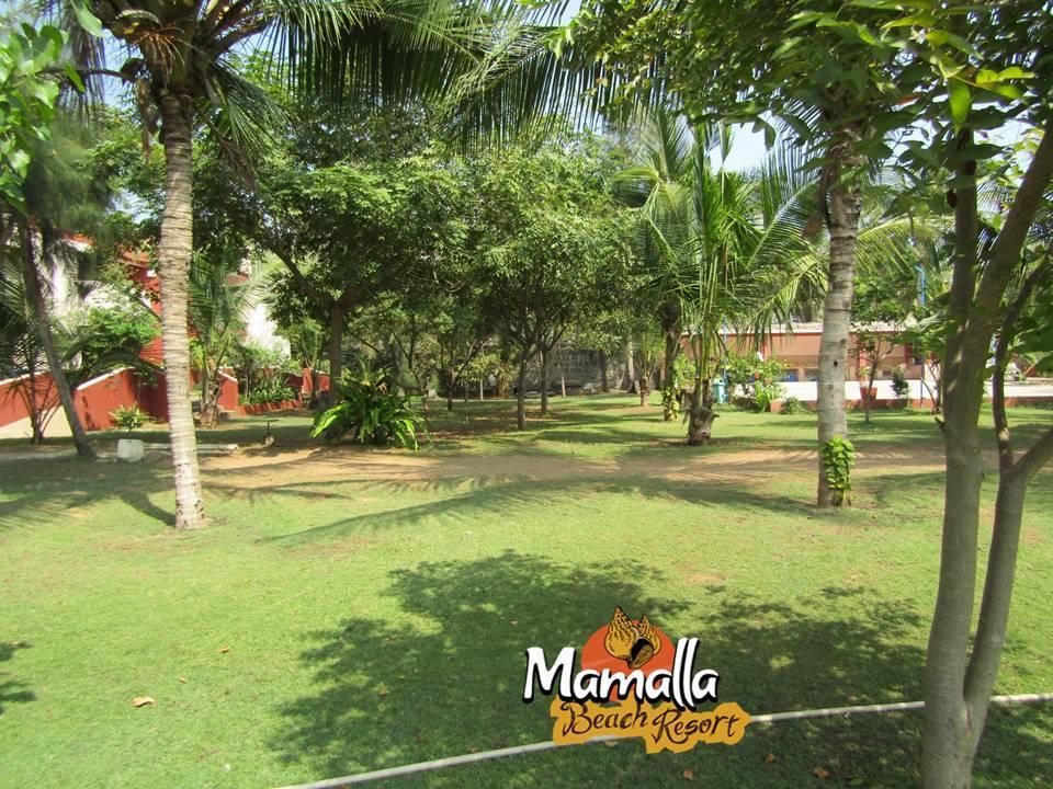 Mamalla Beach Resort 马哈巴利普拉姆 外观 照片