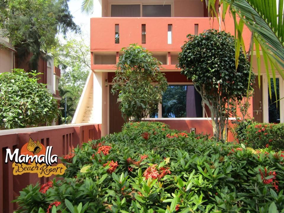 Mamalla Beach Resort 马哈巴利普拉姆 外观 照片