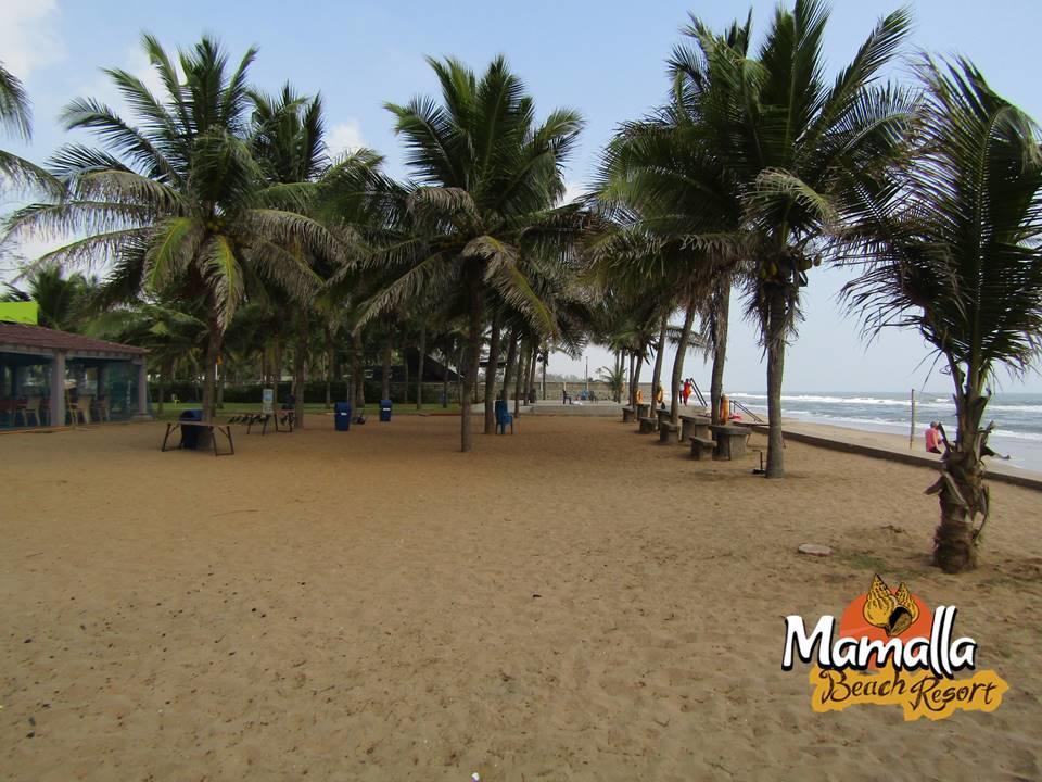 Mamalla Beach Resort 马哈巴利普拉姆 外观 照片