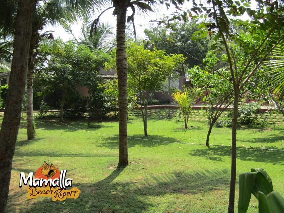 Mamalla Beach Resort 马哈巴利普拉姆 外观 照片